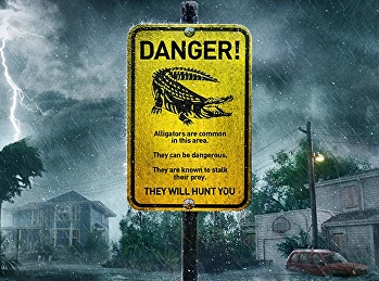 คลาน ขย้ำ