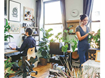 7 Pet-Friendly Indoor Air Purifying
Plants