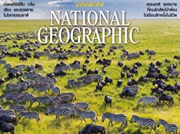 Whale Song Creates Ultrasound Images of
the Seafloor