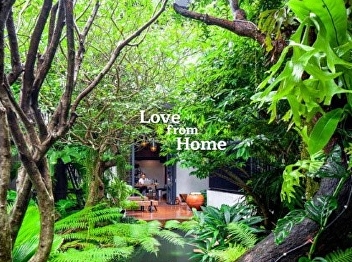 10 things you should know about choosing
plants for a Japanese garden atmosphere