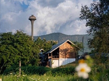 9 Pink leaves add sweetness to the
garden
