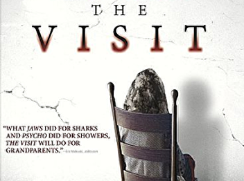 The visit