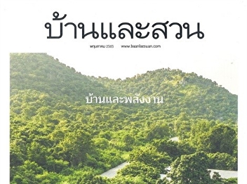 Easy to grow cactus. Beautiful flowers
in full bloom : Home and Garden