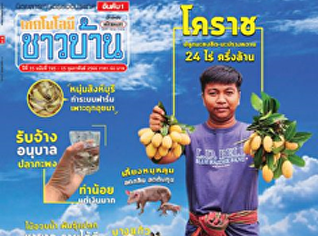 บ๊วยมีดีไม่ใช่แค่กินเล่น