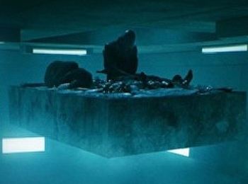 เดอะ แพลตฟอร์ม