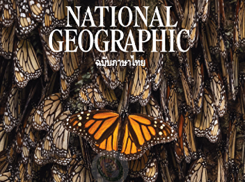 5 benefits of music that creates balance
for children