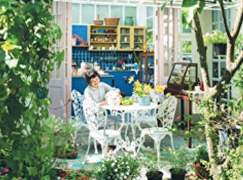 เสน่ห์ของดอกไม้เขตร้อน