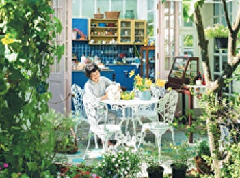 The charm of perfumed flowers