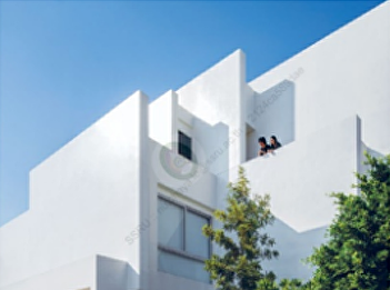 A beautiful variegated leaf plant that
pairs well with a Thai garden